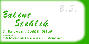 balint stehlik business card